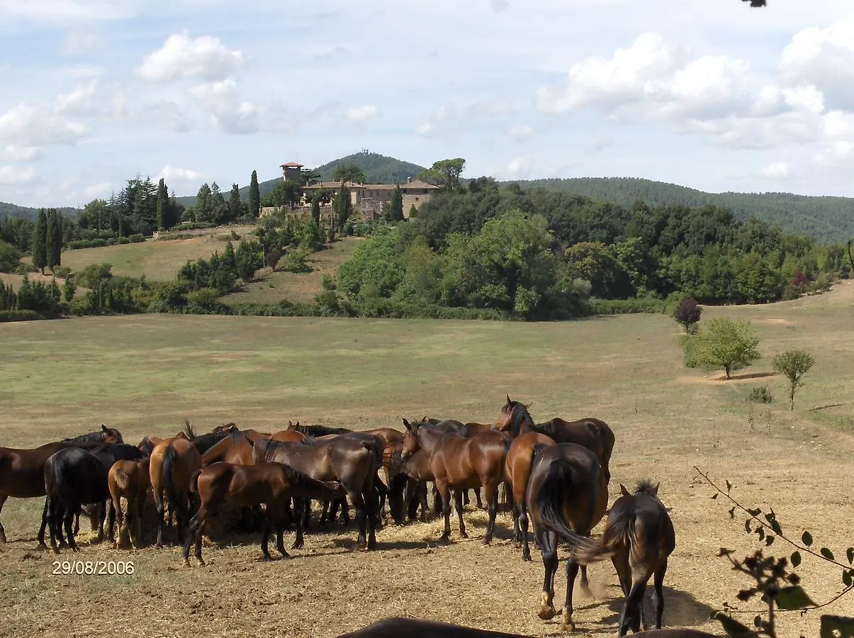 Podere Secchieta Hotel Paganico Italy